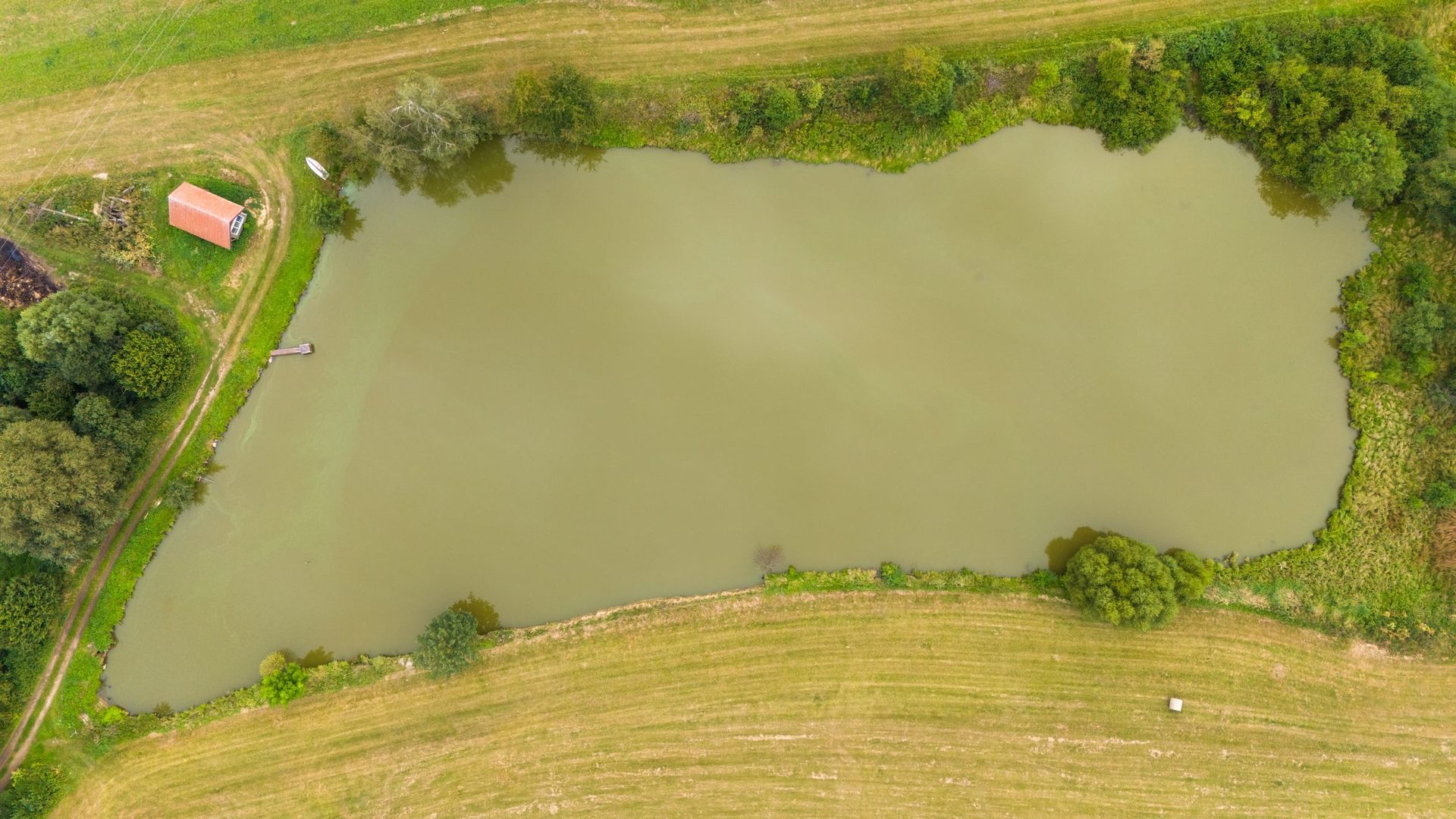 A pond cut into a mowed field beside a small shed, seen from above