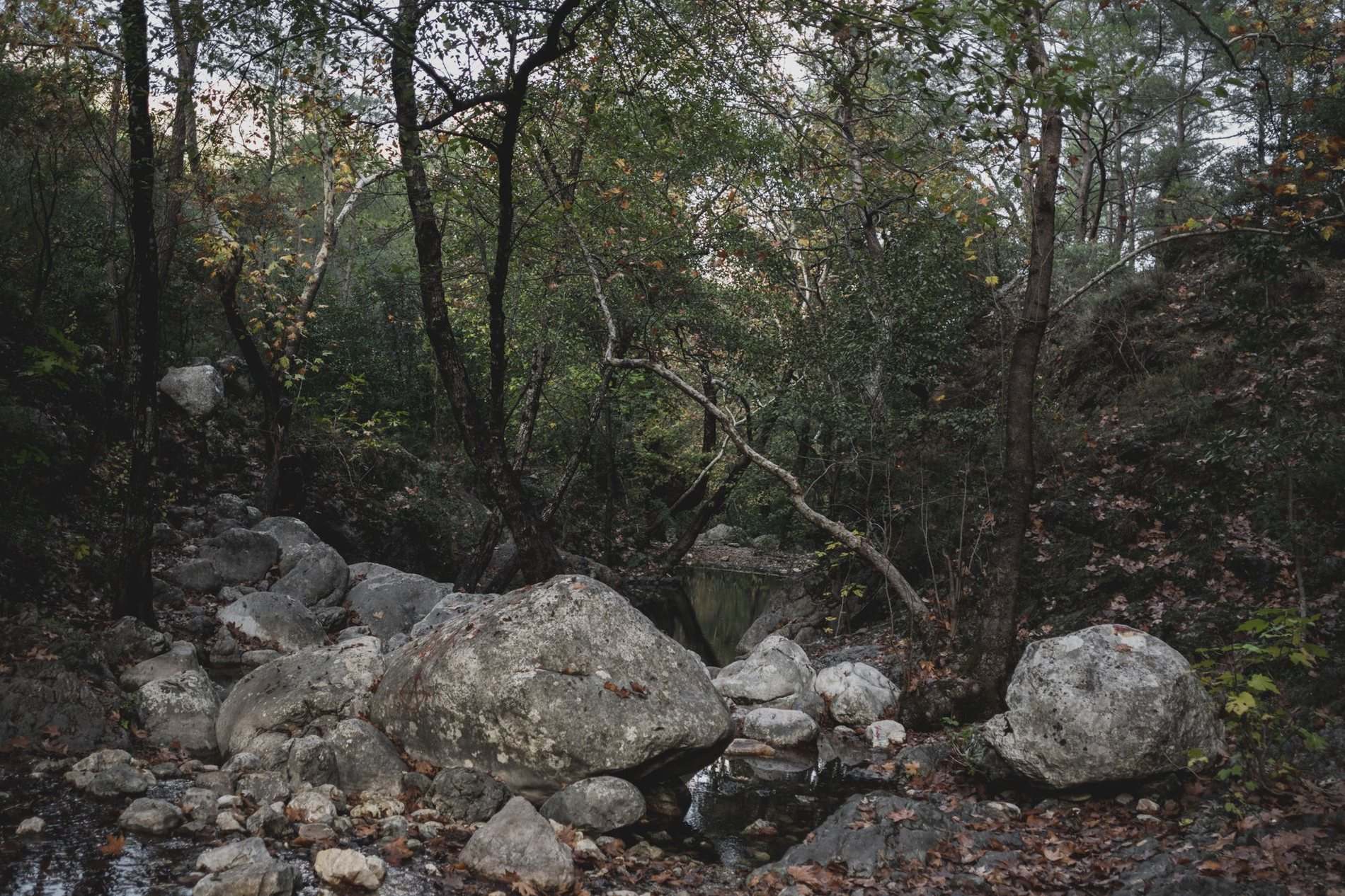 Rip rap stone placed along a creek bank to hold it